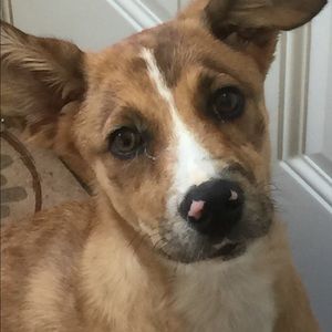 Meet your Posher, Geri